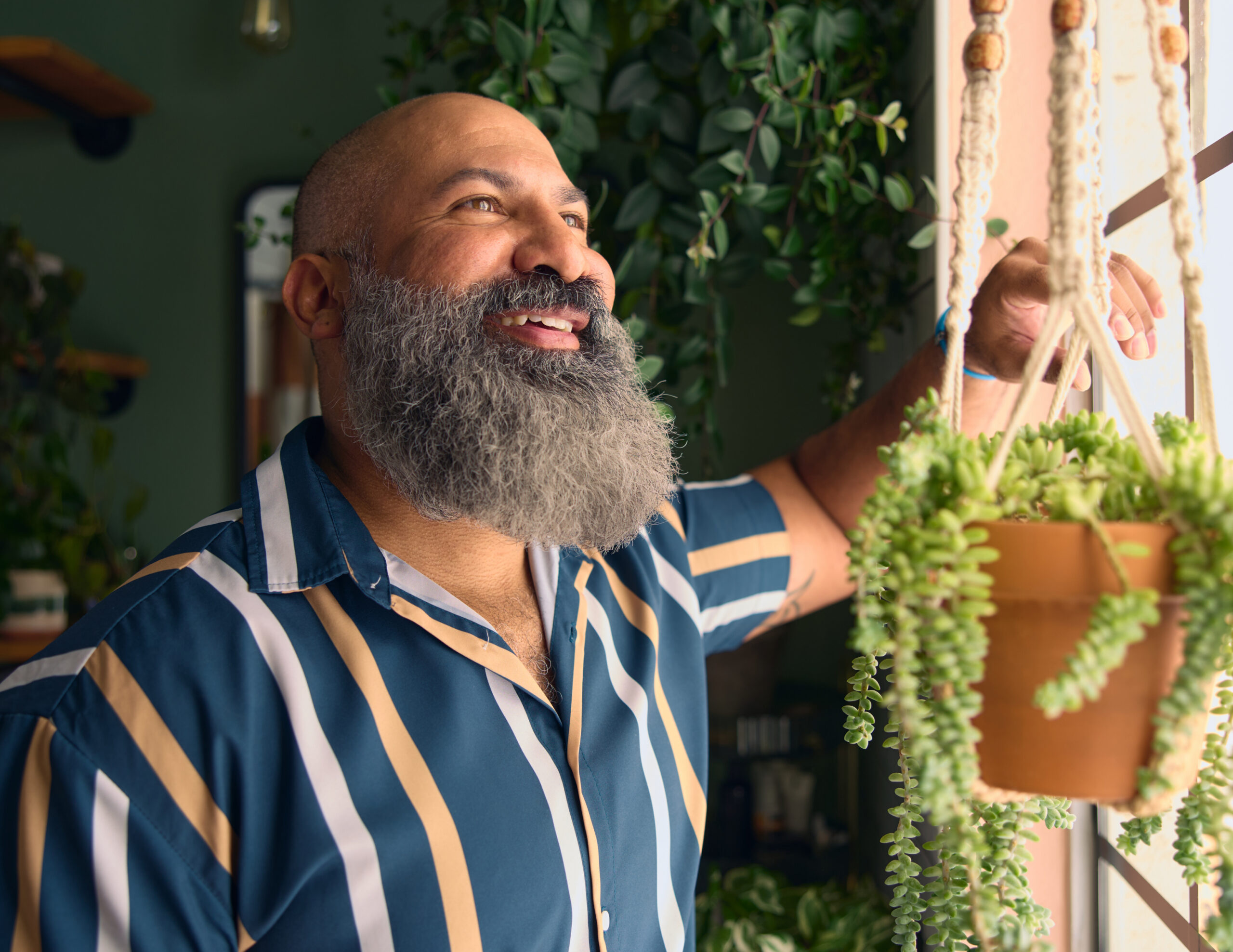 A smiling man with a long gray beard stands indoors beside a window, looking outside while holding a hanging succulent plant.
