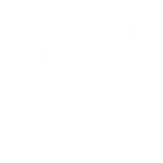 Transgender pride symbol combining male and female elements to represent gender diversity and inclusion.
